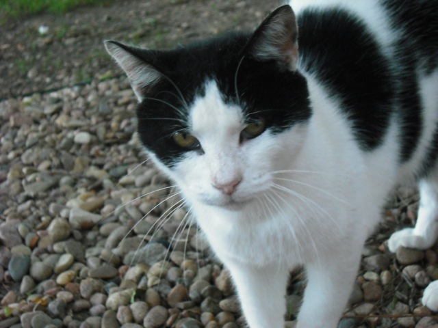 [ChaseVisitandFarmPics018.jpg]
