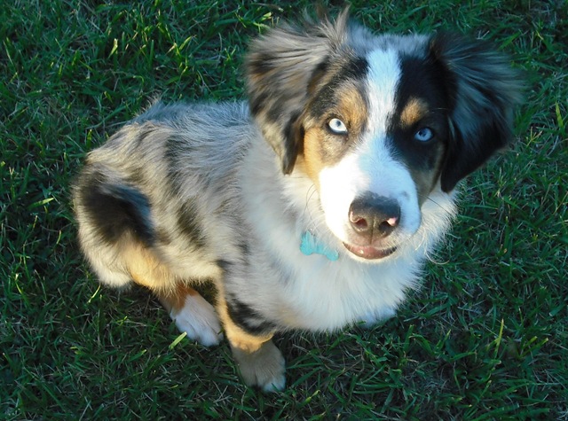 [ChaseVisitandFarmPics036.jpg]