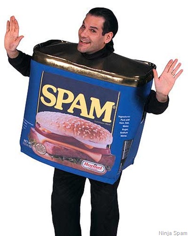 [spam-boy[11].jpg]