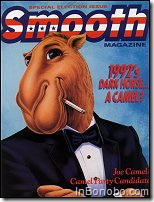 Camel Smooth American