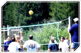[volleyball[3].jpg]