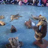 DSC01090.JPG