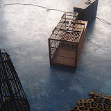 DSC01123.JPG