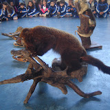 DSC01135.JPG