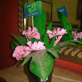 DSC01209.JPG