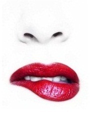 [header 1-crop-crop[3].jpg]
