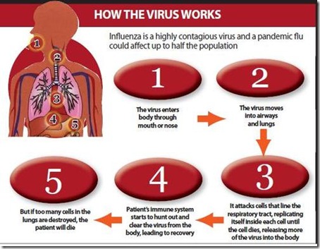 h1n1howa