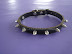 Pet Collar,collar,dog collar,cat collar,Dog Beds, dog clothes,dog shoes,Dog Toys, Dog Food, Dog Flea and Tick,pet product,quality pet product,Pet Collar made in china, provided by Pet Collar manufacturer--Ningbo Grand Leisure Products Manufactory (http://fswond.en.madeinchina.com/P6014517/Pet-Collar-Cb0011.shtml), and more Pet Collar related products provided by China suppliers on http://www.madeinchina.com/trade_product_1/Pet+Collar.shtml.