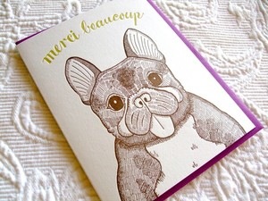 [bulldog[5].jpg]