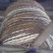 IMG0543A.jpg