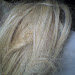 IMG0659A.jpg
