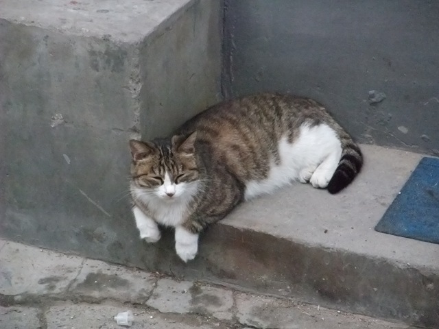 [DSCF06812.jpg]