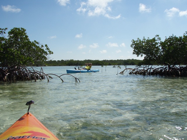 [03152008 013[13].jpg]