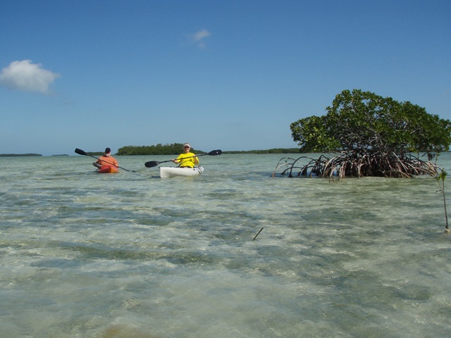 [03152008 011[5].jpg]