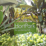 Alexandra Arch - HortPark - Forest Walk (31st Dec 2009)
