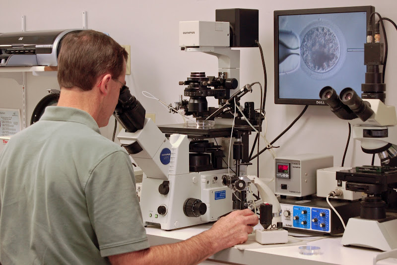 Micromanipulator for ICSI
