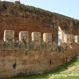 DSC08345.JPG