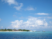 PB260651.JPG