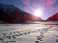 ip 4 px 140.JPG Photo