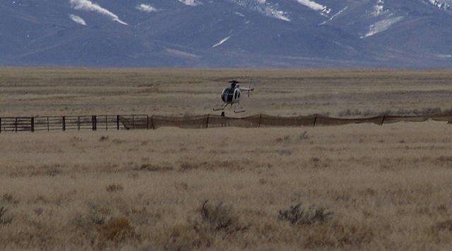 [Antelope2-14 251 (2)[3].jpg]