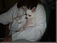 Junior Boy carefully watching me from Momma's arms