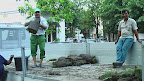  Vine [prima]vara 