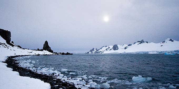 Antarctic 039 The Underwater World of Antarctica
