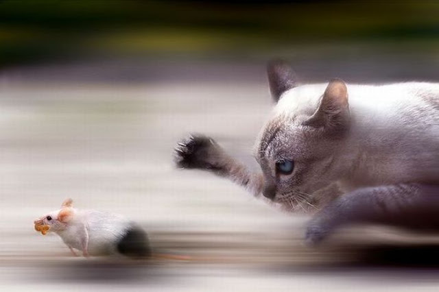 20 Inspiring And Beautiful Motion Blur Photos