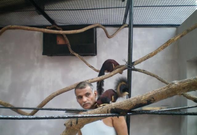 Home Zoo of One Arab