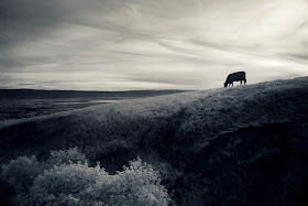 Photography by Cole Rise mission peak Photography by Cole Rise