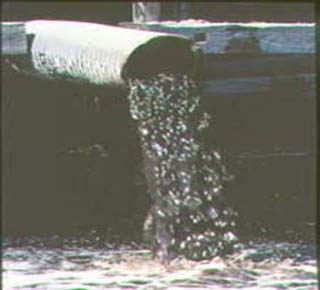 [image8.png]