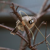 IMG_8395.jpg