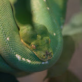 IMG_8553.jpg