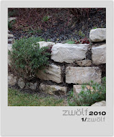 zwoelf2010_Januar.jpg