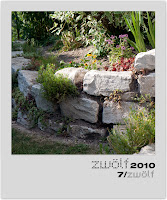 7-zwoelf2010-polaroid.jpg