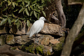 IMG_9174.jpg
