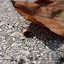 DSC_2968.jpg DSC_2968.jpg