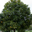 DSC_3079.jpg DSC_3079.jpg