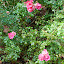 DSC_3092.jpg DSC_3092.jpg