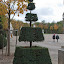 DSC_3104.jpg DSC_3104.jpg
