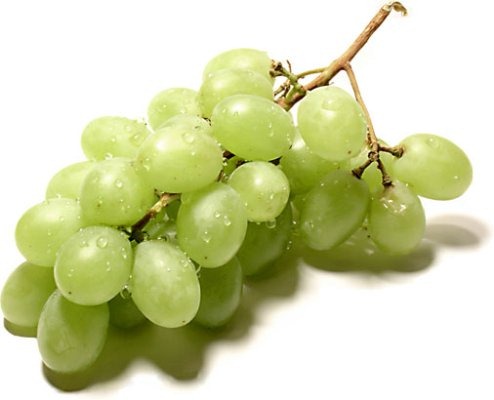 [grapes[2].jpg]