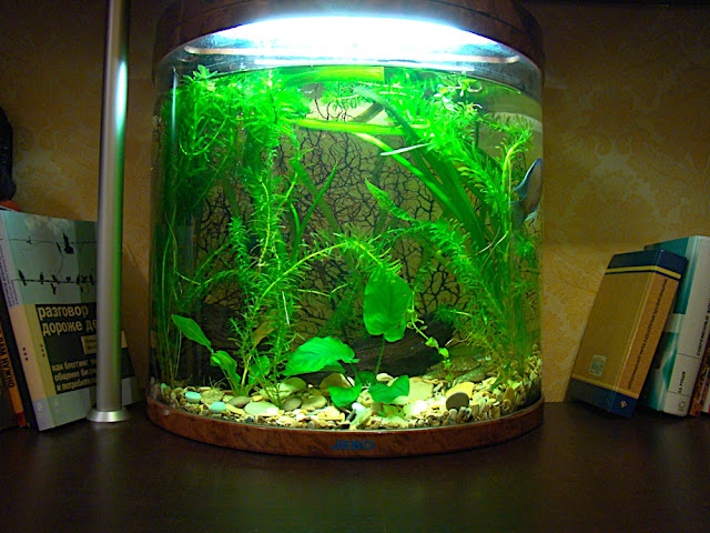 Картинка с форума