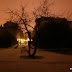 IMG_4917-1.JPG