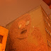 IMG_4943-1.JPG