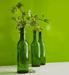 [green wine bottles[3].jpg]