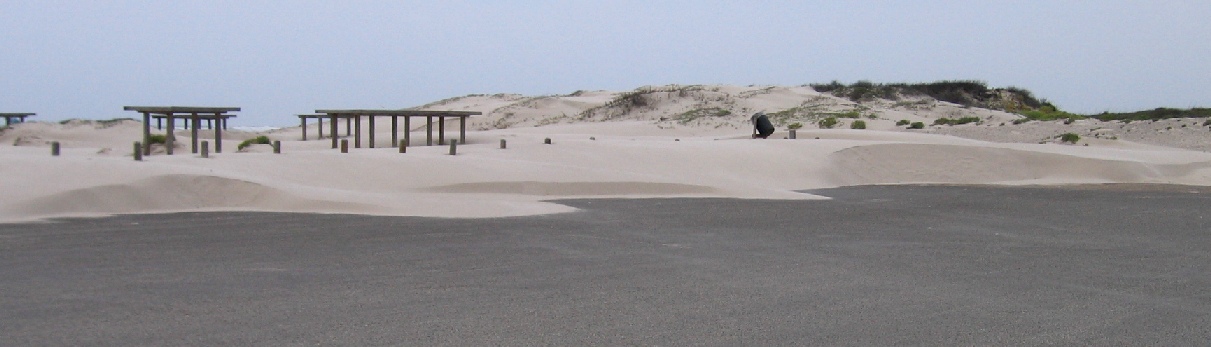 [parking+dunesIMG_4205.JPG]