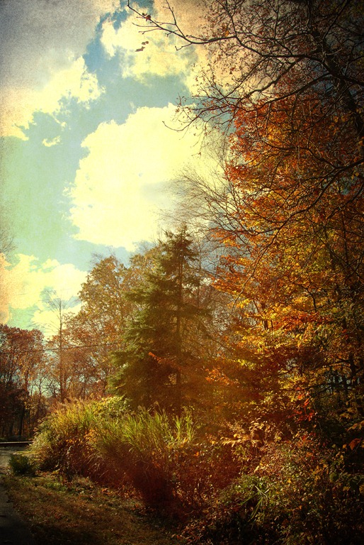[driveway5.jpg]