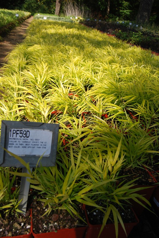 [Plant Group _314open house.jpg]