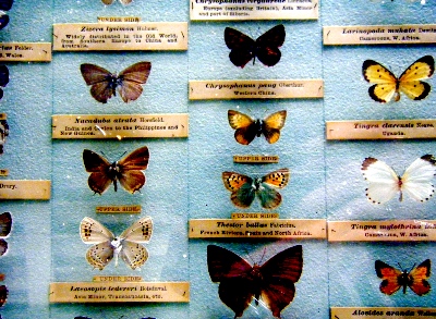 A display in Carphone Warehouse