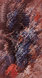 [grapes[3].gif]
